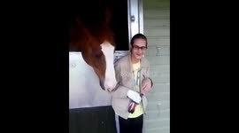 The Funny Hungry Horse