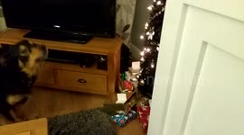 Henry tries to open his Christmas Present Early