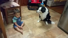 Kind one-year-old boy shares biscuit with dog