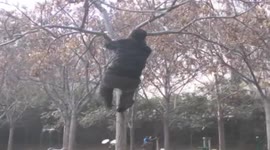 Man, 58, loses weight by climbing trees