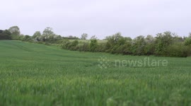 Flying Scotsman in Hampshire