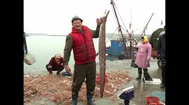 Fisherman catches GIANT swamp eel in China