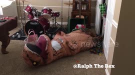 Christmas is a tough time for this T-Rex