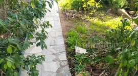 Take the food and run....