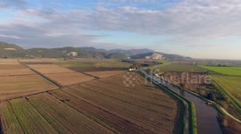 Aerial shot, fall landscape, flying above fields and a small river, filmed with drone