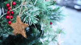 Video of christmas tree in Rome