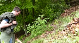 Cheese Rolling 30 May 2016 Coopers Hill Brockworth Gloucester