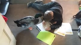 Homework time