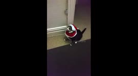 Is it a Merry Christmas ??? BAHH HUMBUGGGGG