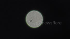 mysterious orbs in the sky   with extrange circle inside