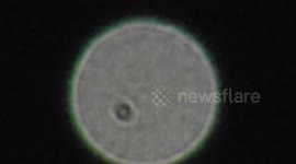 Man spots 'mysterious double orb' in Connecticut sky