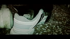 quand l'odeur te mets KO