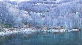 Frozen lake surrounded by frost-covered trees