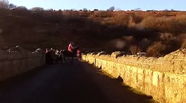Horse appears to nearly kick a pensioner on Dartmoor Dam