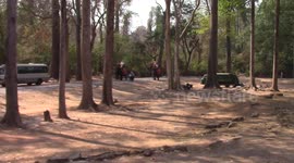 Tourists Riding Elephants in Cambodia - Angkor Temples