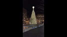 Christmas Tree at City Center in Washington DC