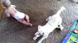 Baby Teaches Dog to Crawl!