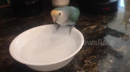 Peeps taking a bath :D