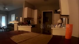 Christmas Time Nightmare Full Video.