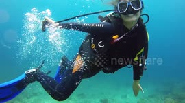 DIVING IN EL NIDO, PHILIPPINES