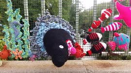 Unusual 2016 - Knitted sharks & fish over bridge in Aberdeenshire