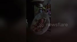 Newsflare Edit - Baby's laugh is super cute!!!