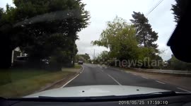 Distracted Fiesta Driver Almost Leaves the Roadway