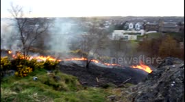 Running With Wildfires