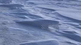 Strong wind create beautiful snowdrift patterns