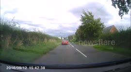 Honda Civic barely avoids hedge