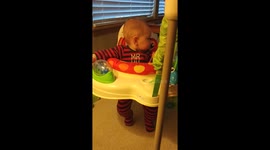 Full version of baby fights sleep while trying to jump longer