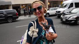 Paris Hilton spotted in Beverly Hills