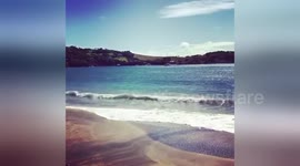 Newsflare Edit - Friendship Bay, Bequia. St Vincen and the Grenadines. Whaling Island