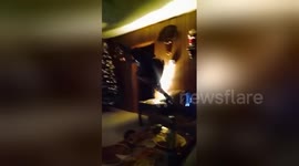 Newsflare Edit - PSU fan tackles tree