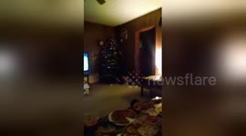 Disappointed American Football fan tackles Christmas tree
