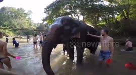 Elephant Jungle Sanctuary