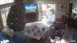 Timber! Hilarious Christmas tree fail in New York state