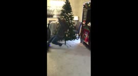 Teen crashes brand-new hoverboard into Christmas tree