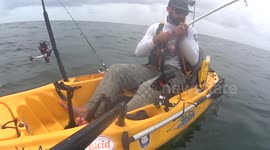 Shark encounter from kayak.