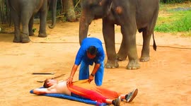 Tourist in Thailand enjoys an elephant massage