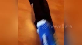 Newsflare Edit - Dog gets head stuck in beer box