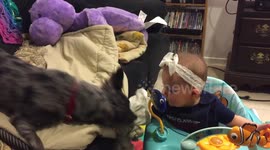Six-month-old baby plays with puppy