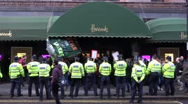 Protesters scuffle with Harrods staff and police