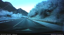 Verglas en France. Frozen nature.