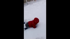 Baby playing in the snow for 1st time:)