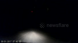 Driver Near-Miss With Jackrabbit