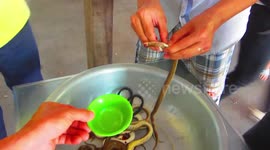 Vietnam - Snake beating heart