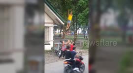 Hilarious moment young lad is thrown in the air to pluck a mango from a tree