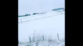 Snowy Train