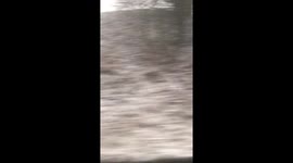 Snowy Train 2